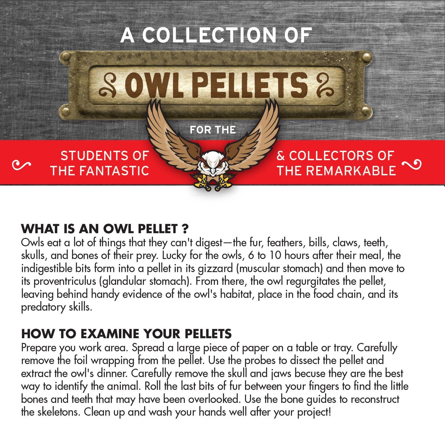 Cabinet of Owl Pellets | Dissection Kit Science Demo