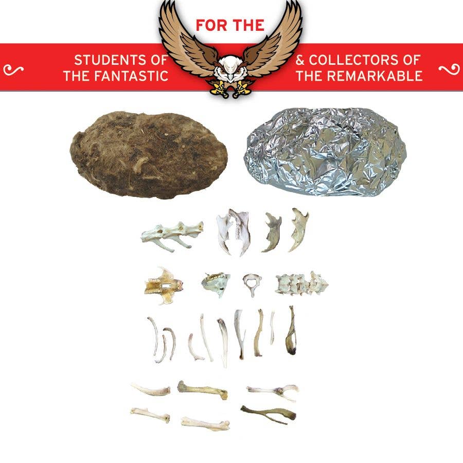 Cabinet of Owl Pellets | Dissection Kit Science Demo