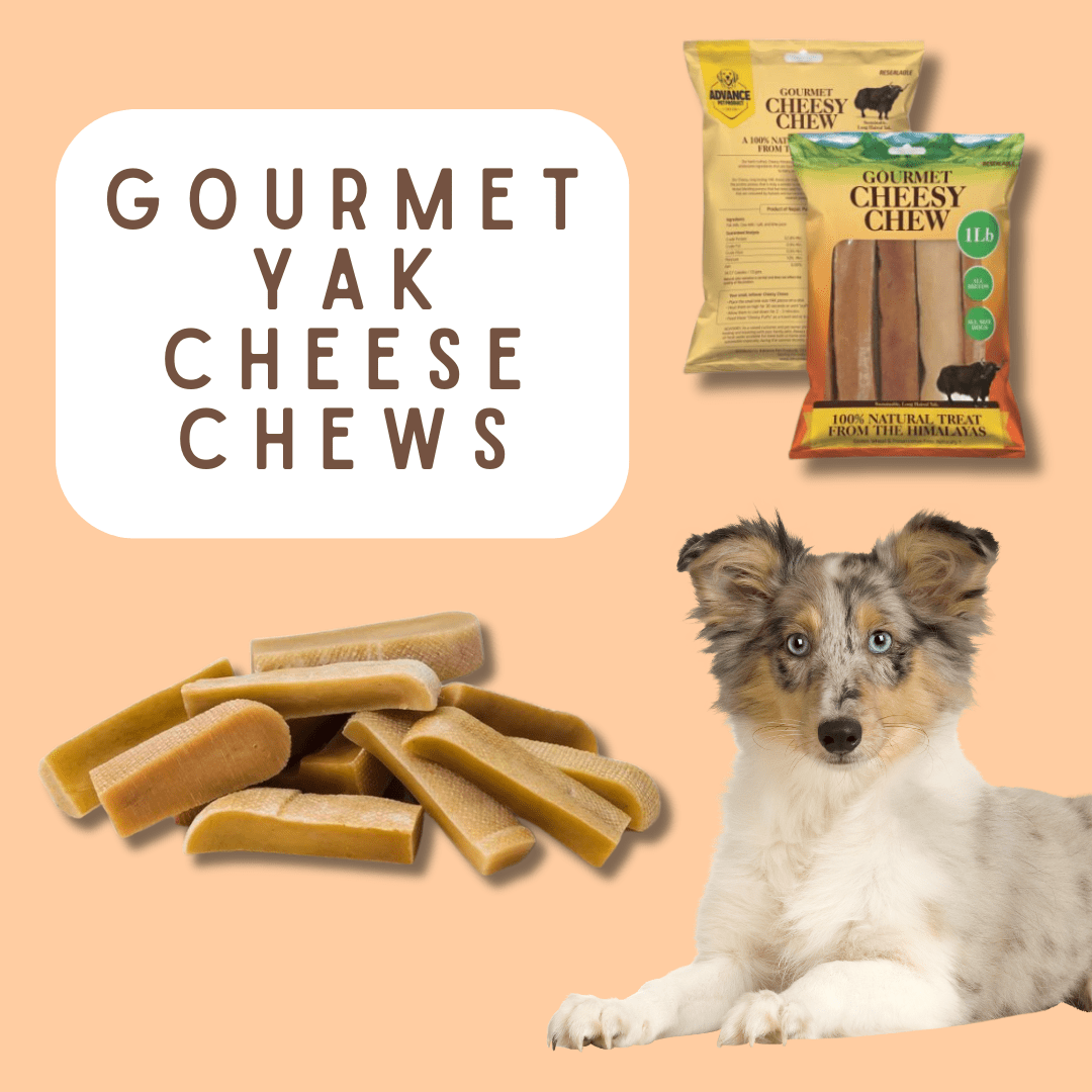Gourmet YAK Cheese Chews! Made from Grass Fed, ecologically