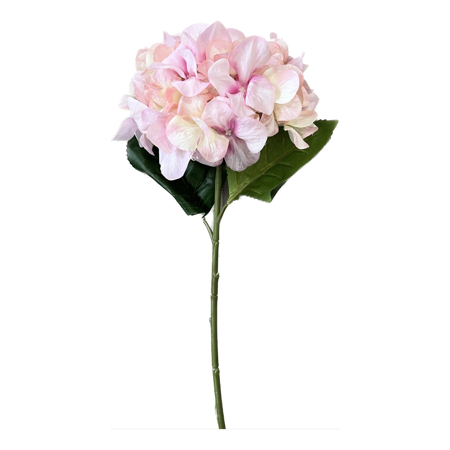 22" Hydrangea-7" bloom