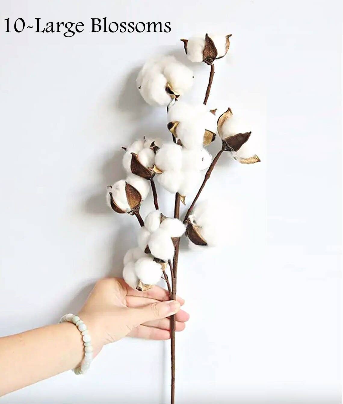 21" Cotton Stem-10 Large Cotton blossoms