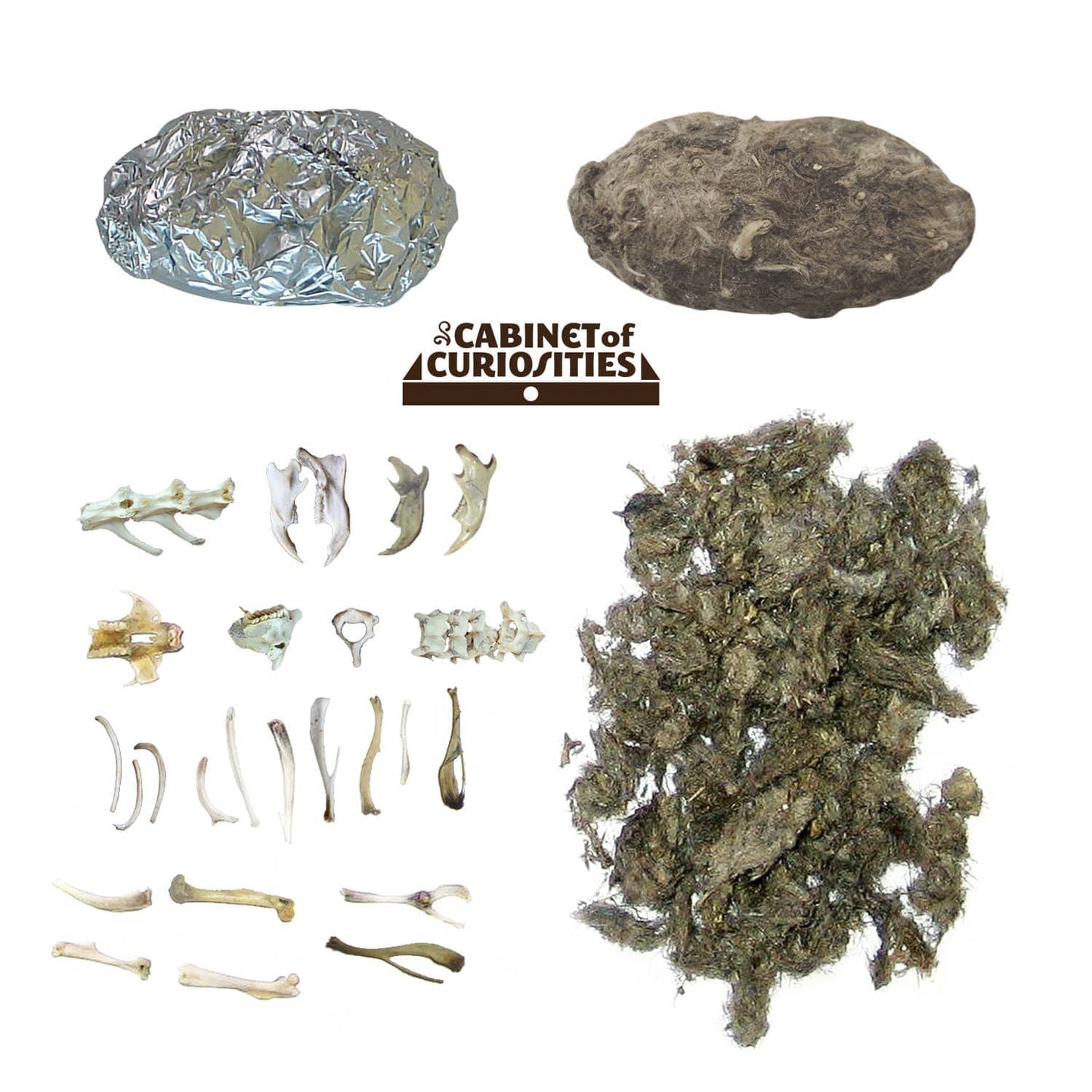 Cabinet of Owl Pellets | Dissection Kit Science Demo