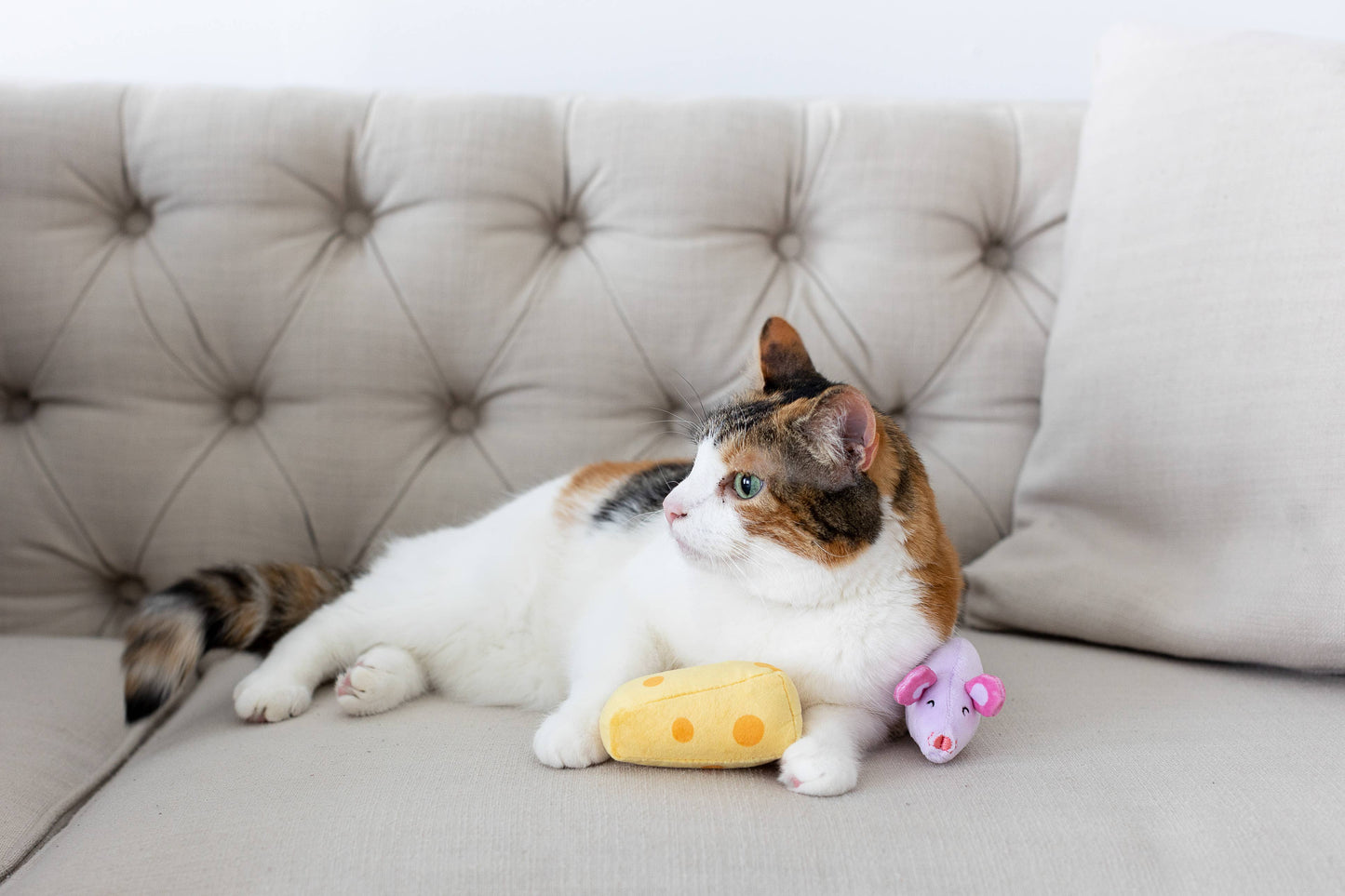 Mouse & Cheese Cat Toys, Set of 2