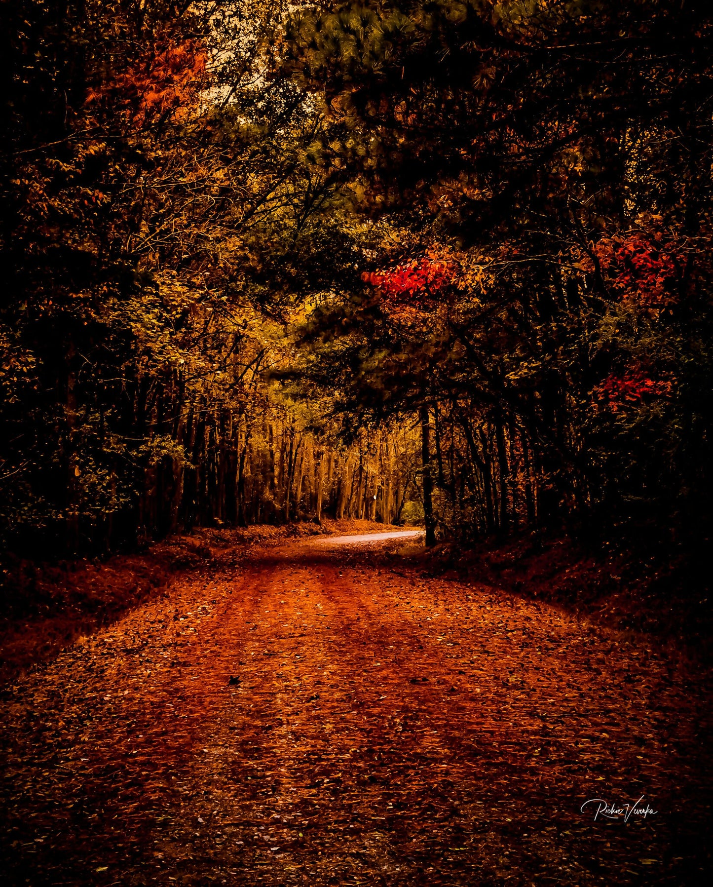 Autumn
