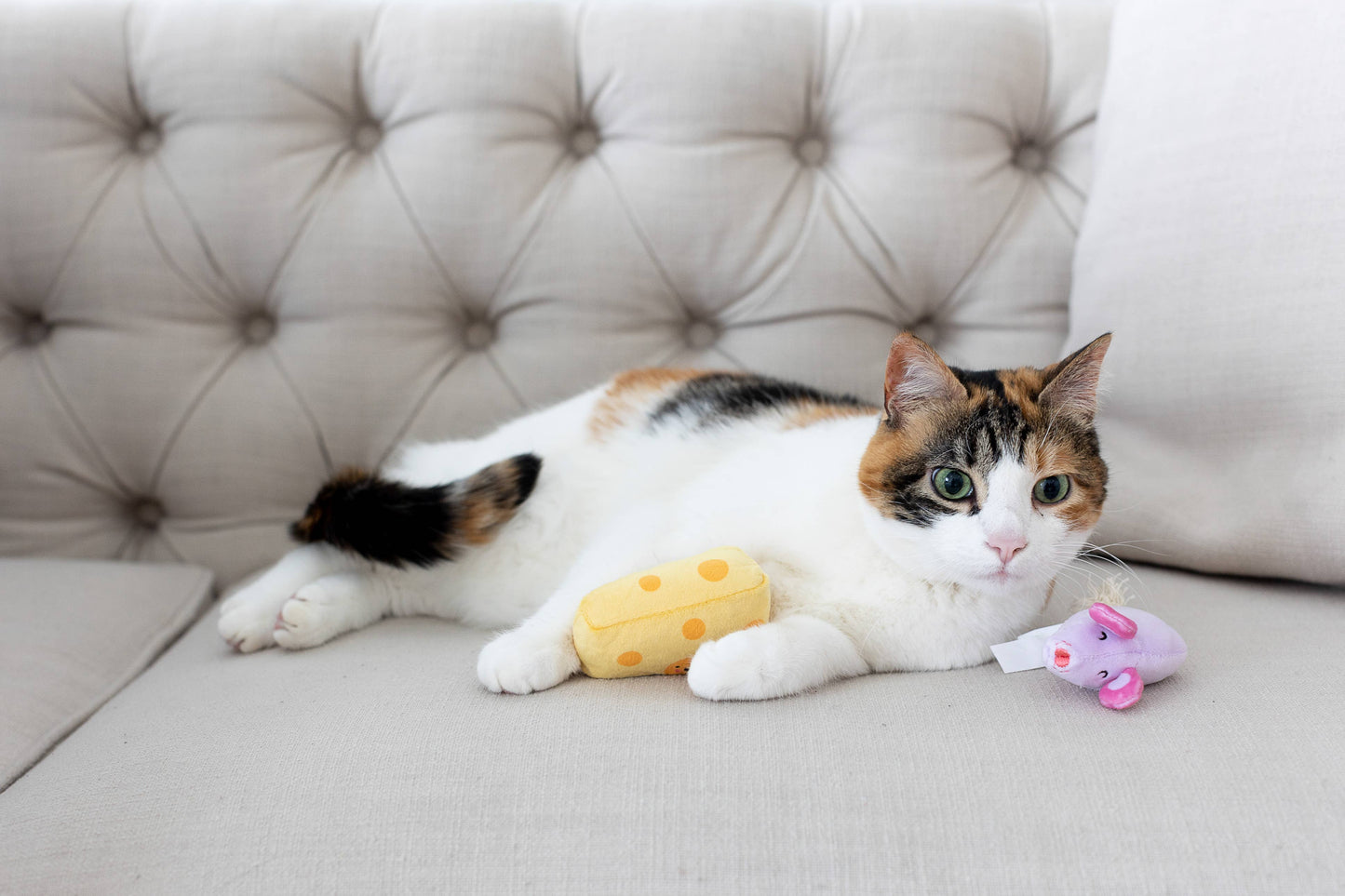 Mouse & Cheese Cat Toys, Set of 2