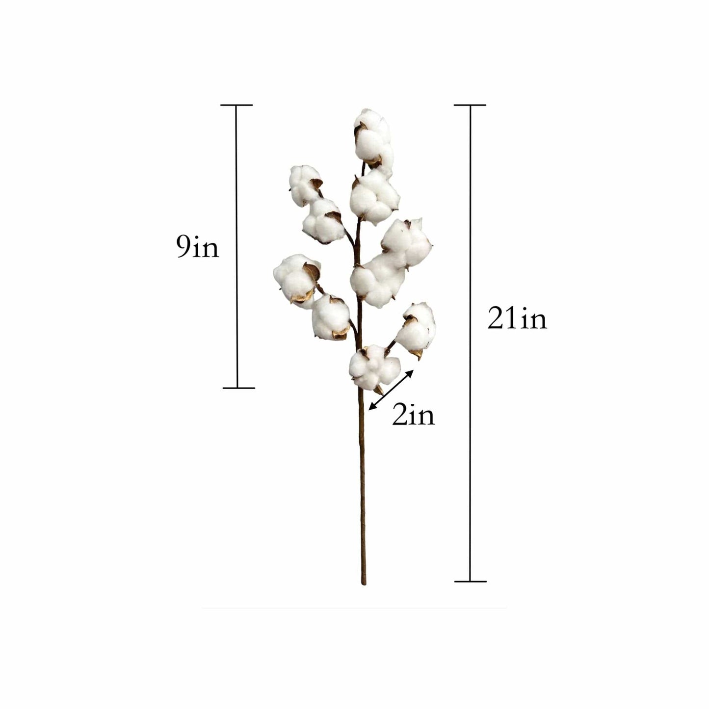 21" Cotton Stem-10 Large Cotton blossoms