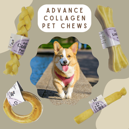 Advance Collagen Chews