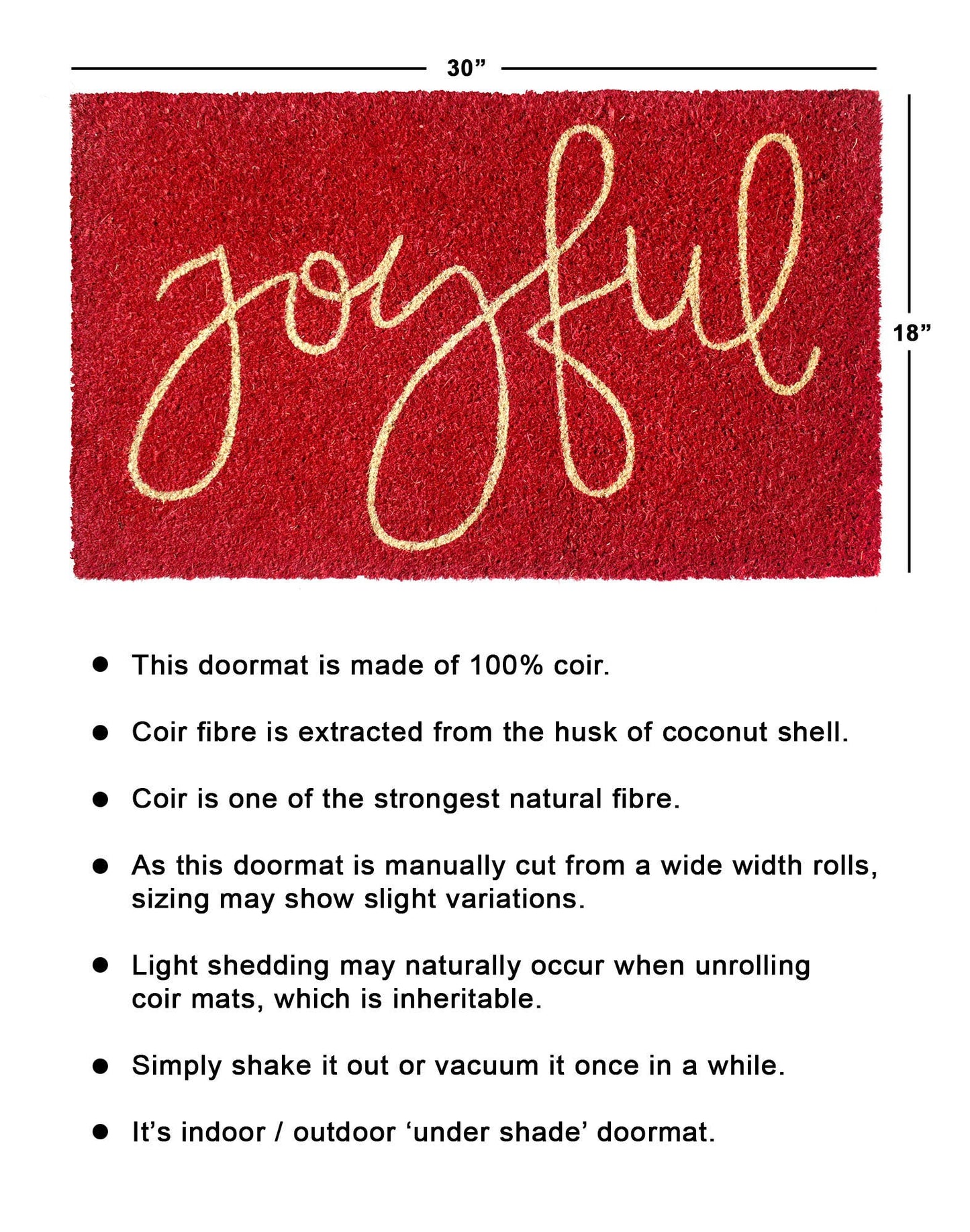 RugSmith White Machine Tufted Joyful Doormat, 18" x 30"