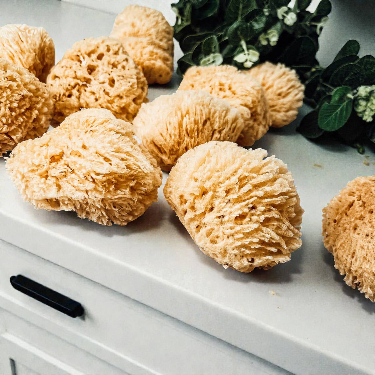 Dead Sea Sponge, All Natural Body Wash Loofah 4-5"