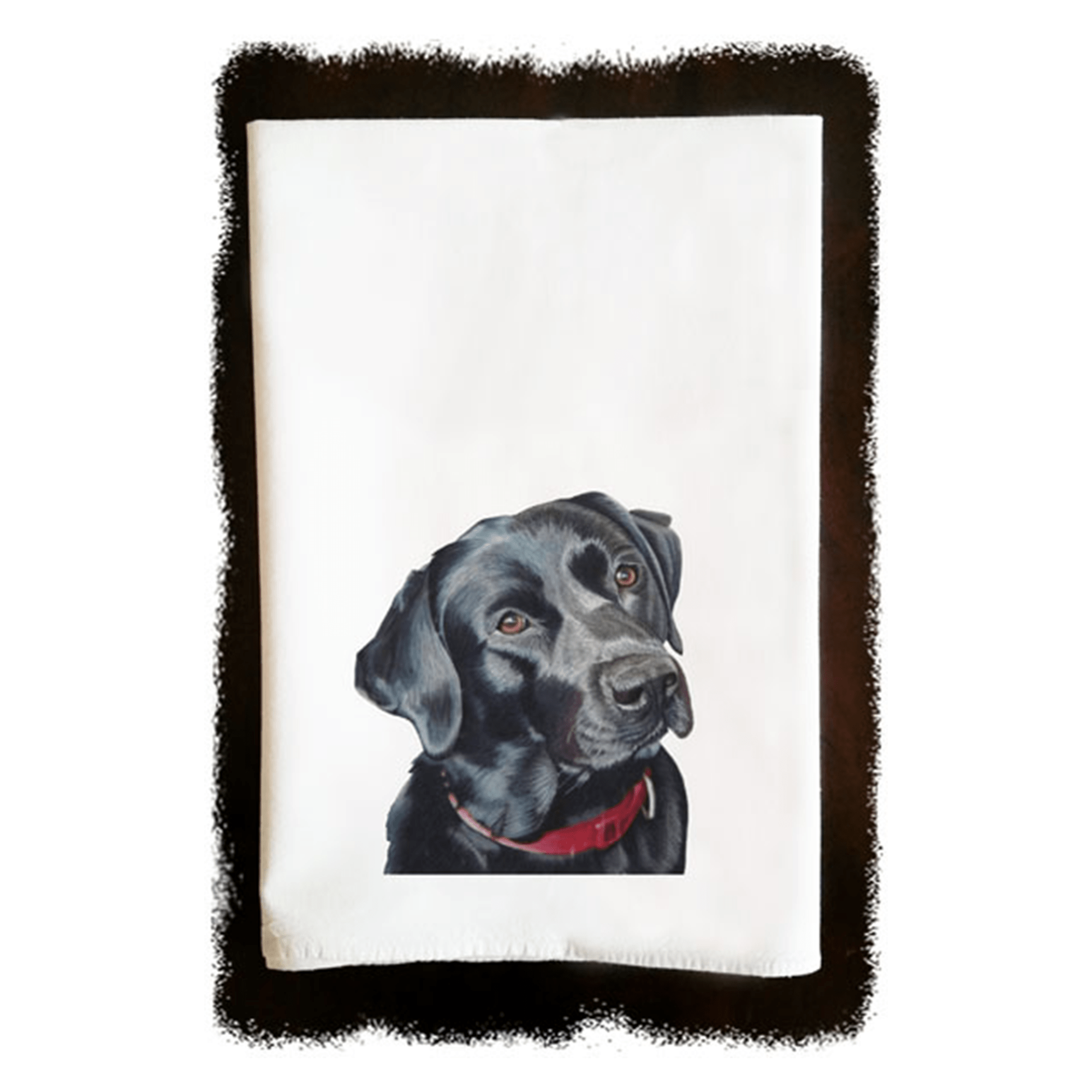 Lab – Sip and Shop Cafe