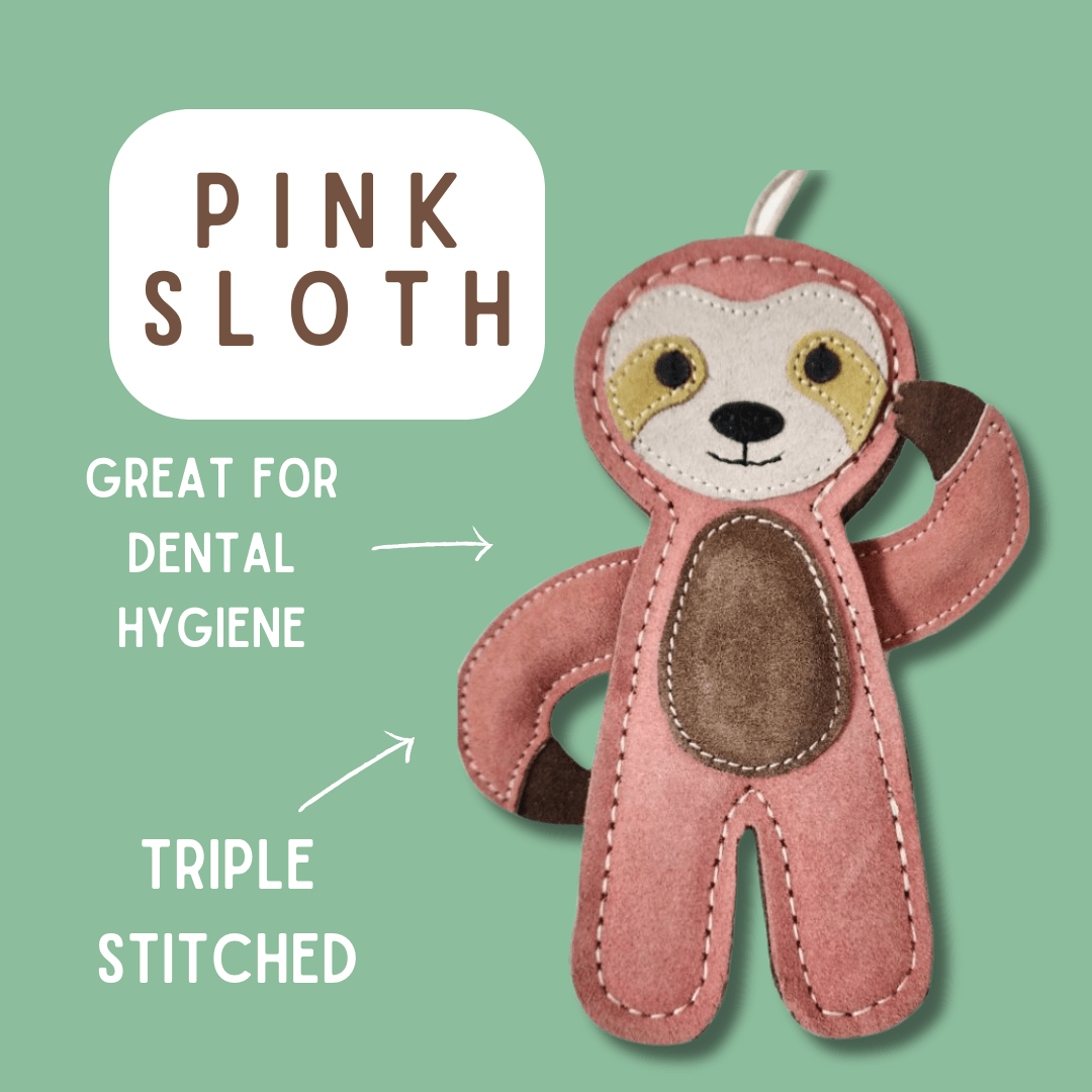Tuff Toys Pet-friendly eco-sourced Sloth Dog Toy made of all