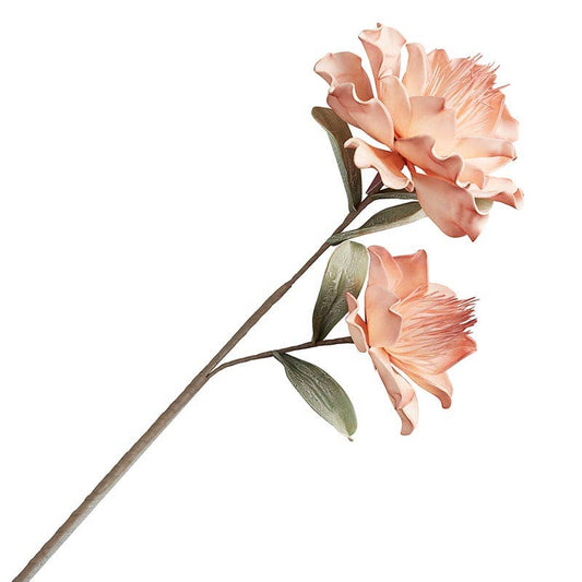 Big Pink Buds