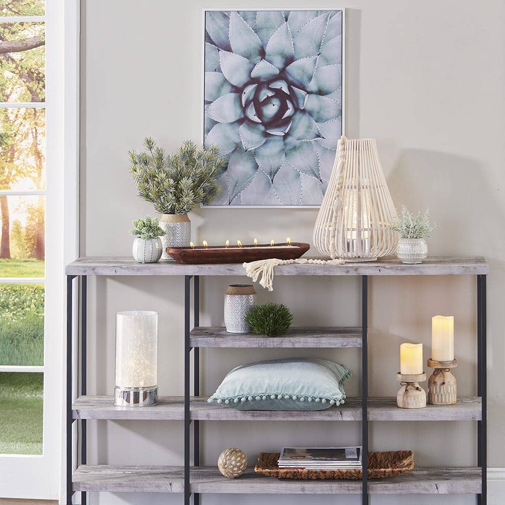 Succulent Canvas Print
