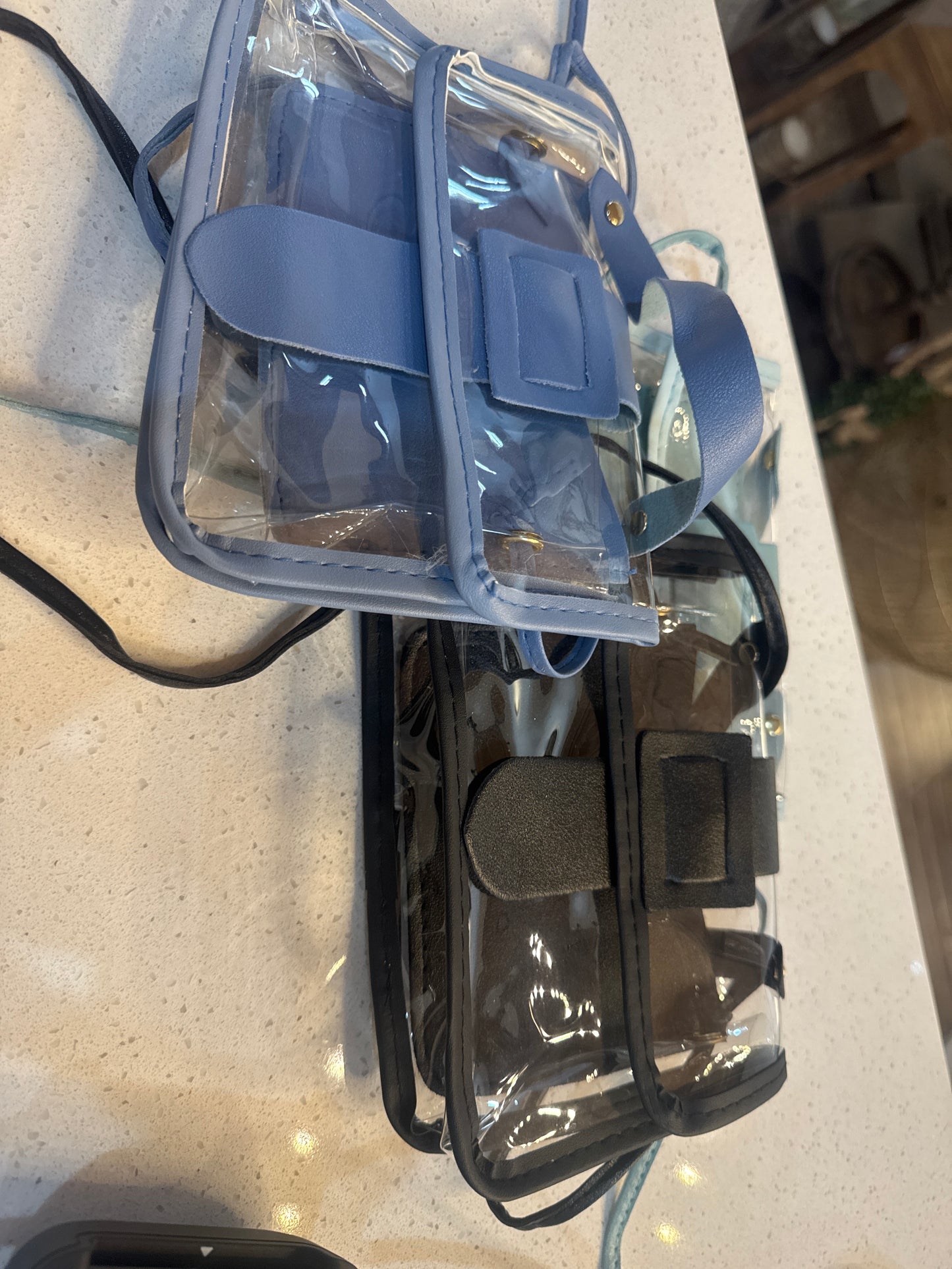 Concert Clear Purse Small