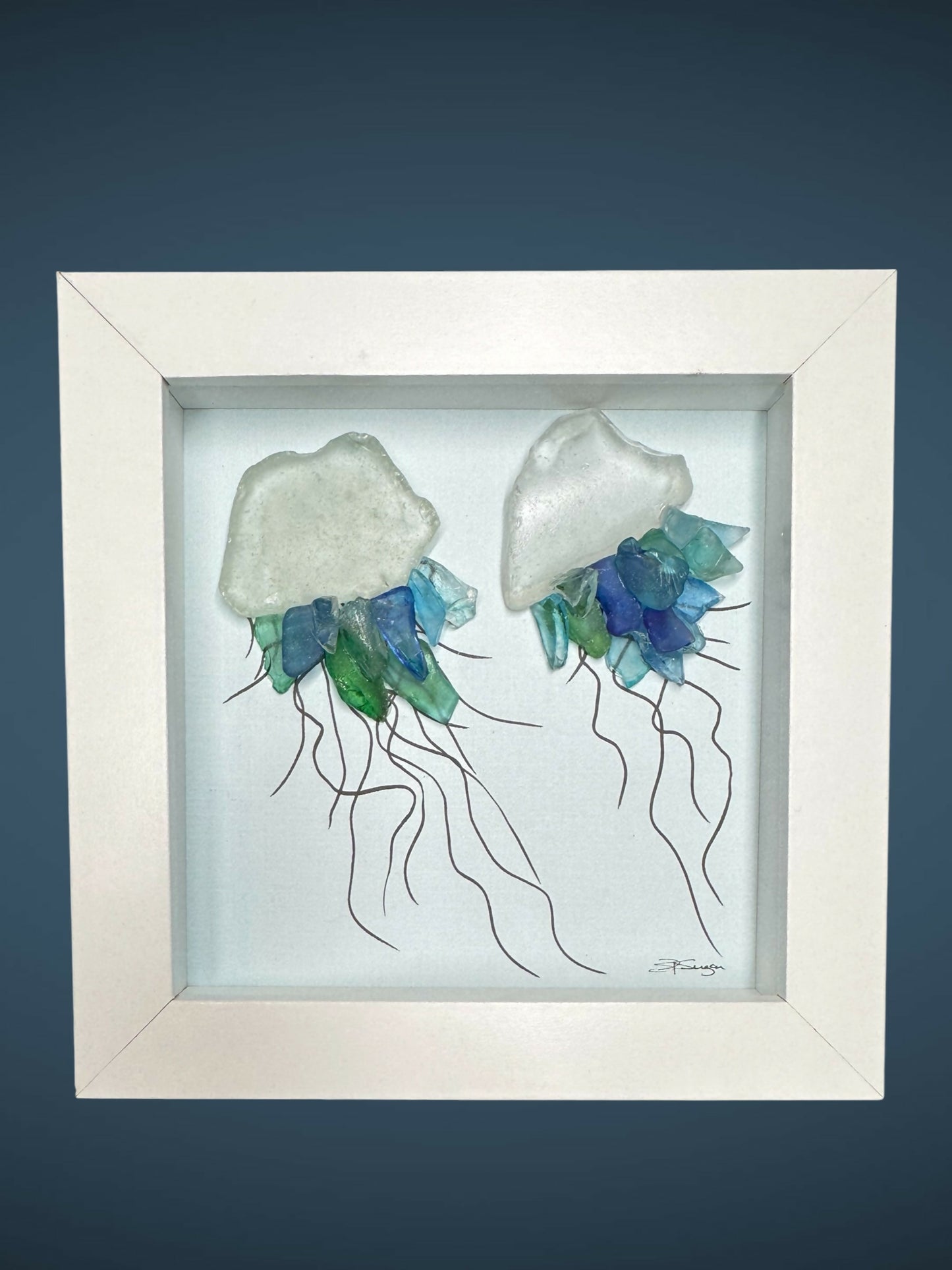 Two Jellyfish