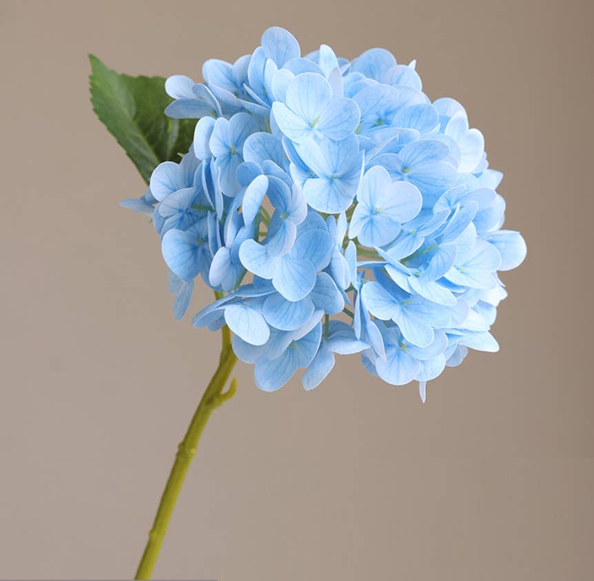 12.Hydrangea-6”bloom