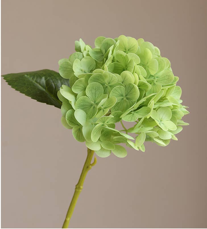 12.Hydrangea-6”bloom