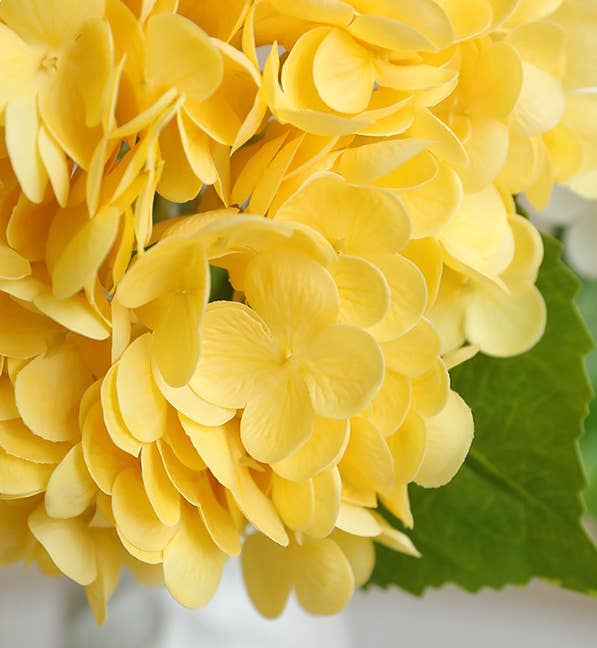 12.Hydrangea-6”bloom