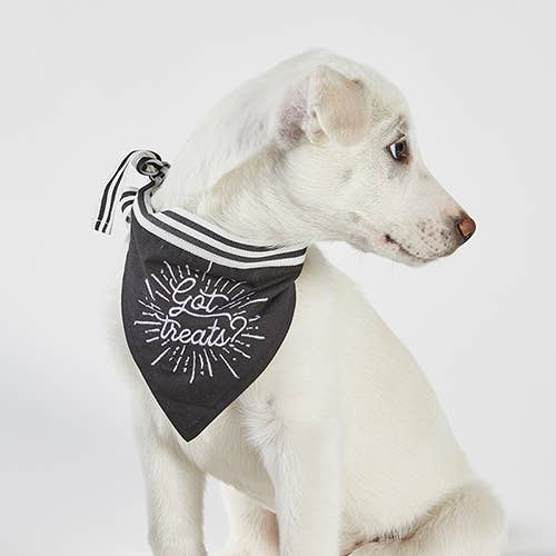 Pet Bandana - Got Treats?