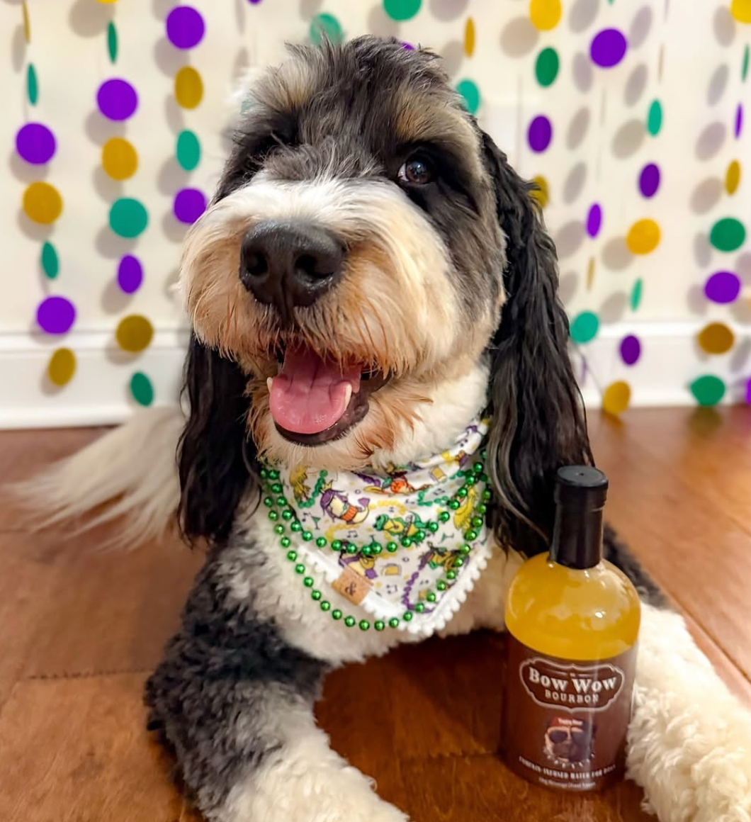 Bow Wow Bourbon | 6ct | Pumpkin