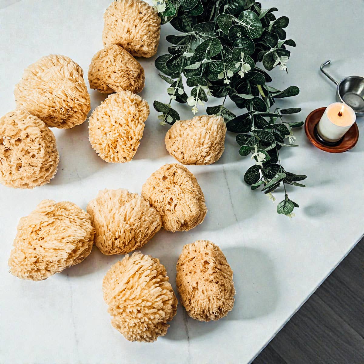 Dead Sea Sponge, All Natural Body Wash Loofah 4-5"