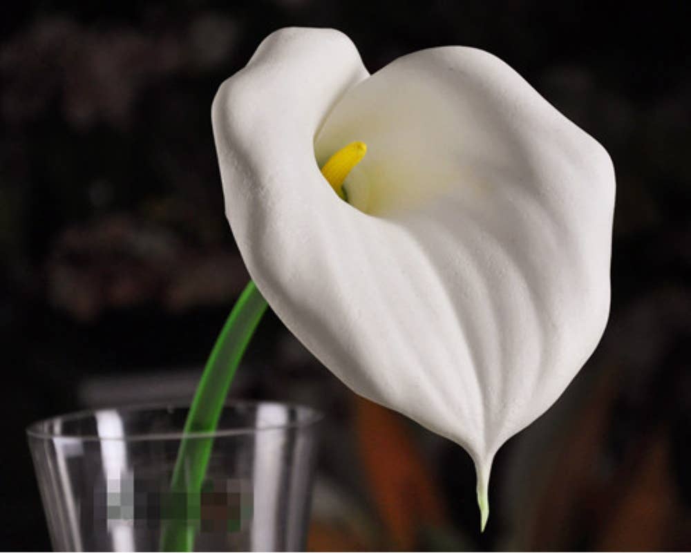 calla lily-2 sizes