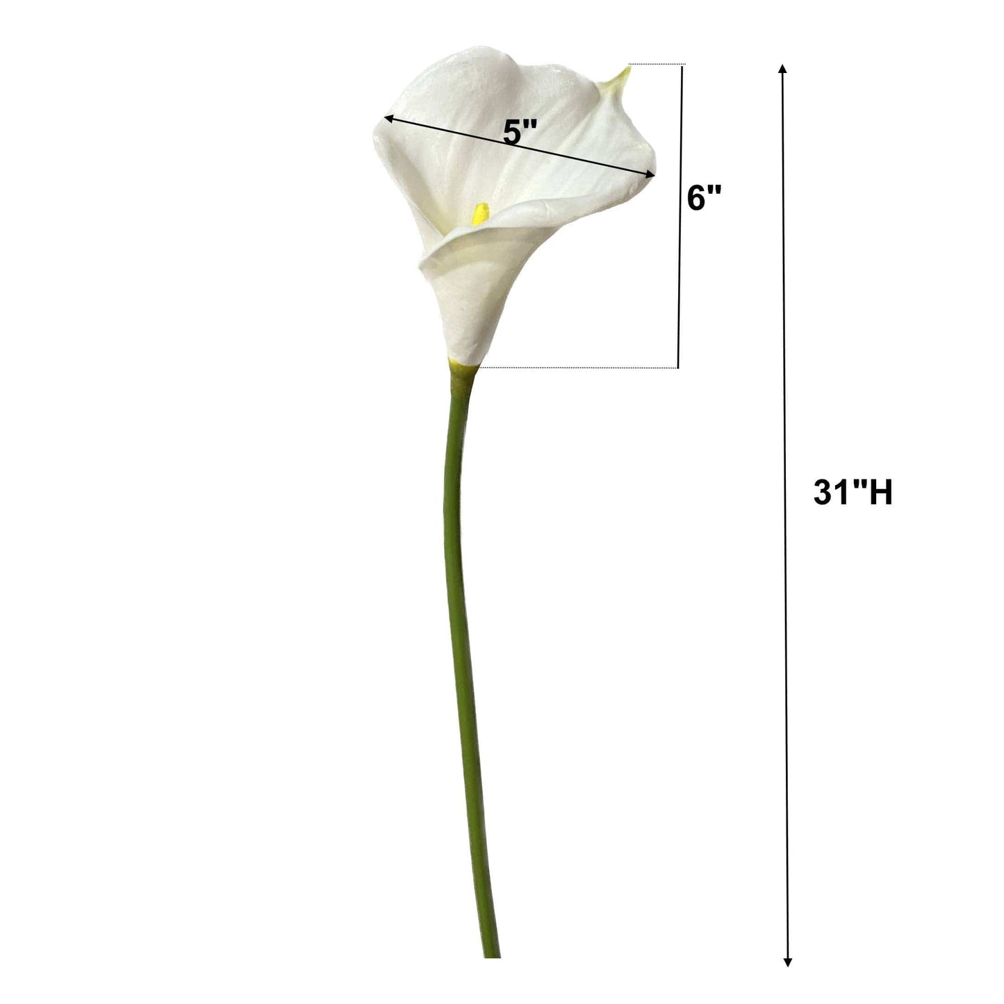 calla lily-2 sizes