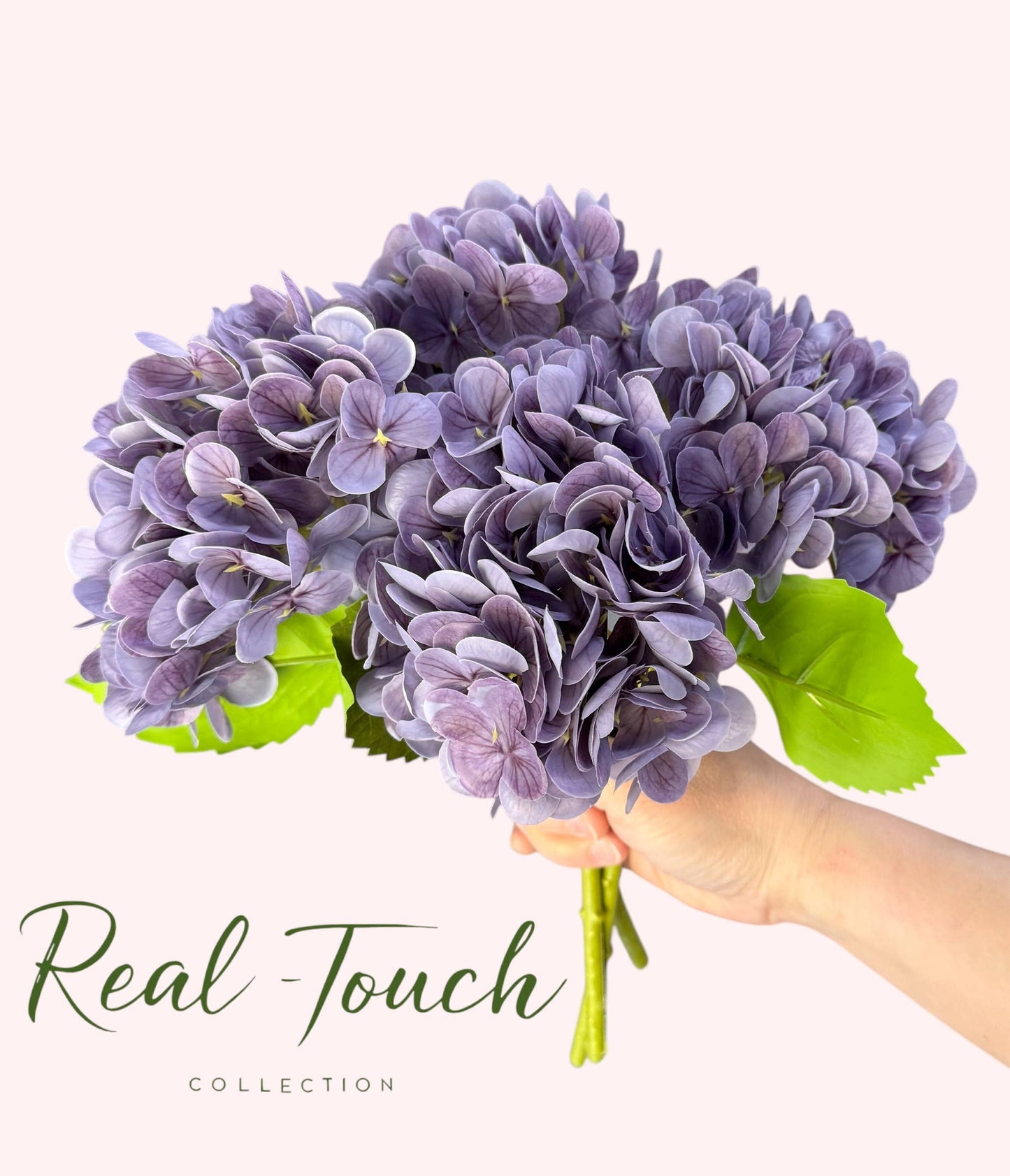 12.Hydrangea-6”bloom