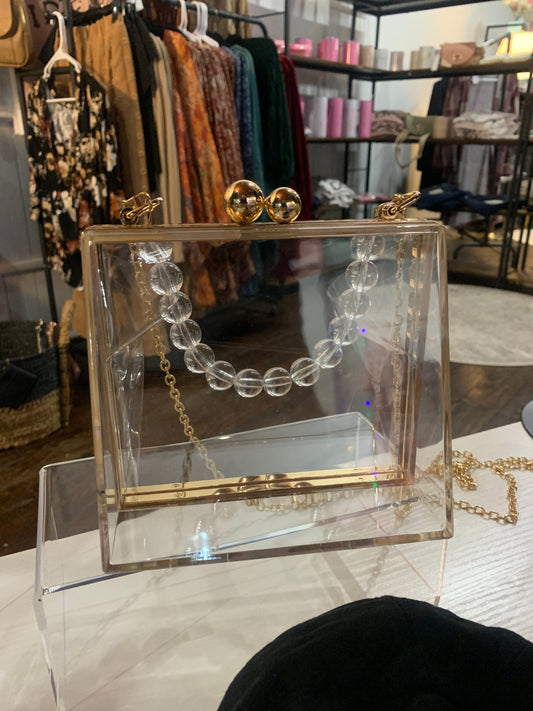 Clear Transparent Purse