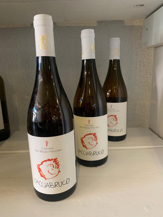 Cantina San Biagio Vecchie CacciaBruco