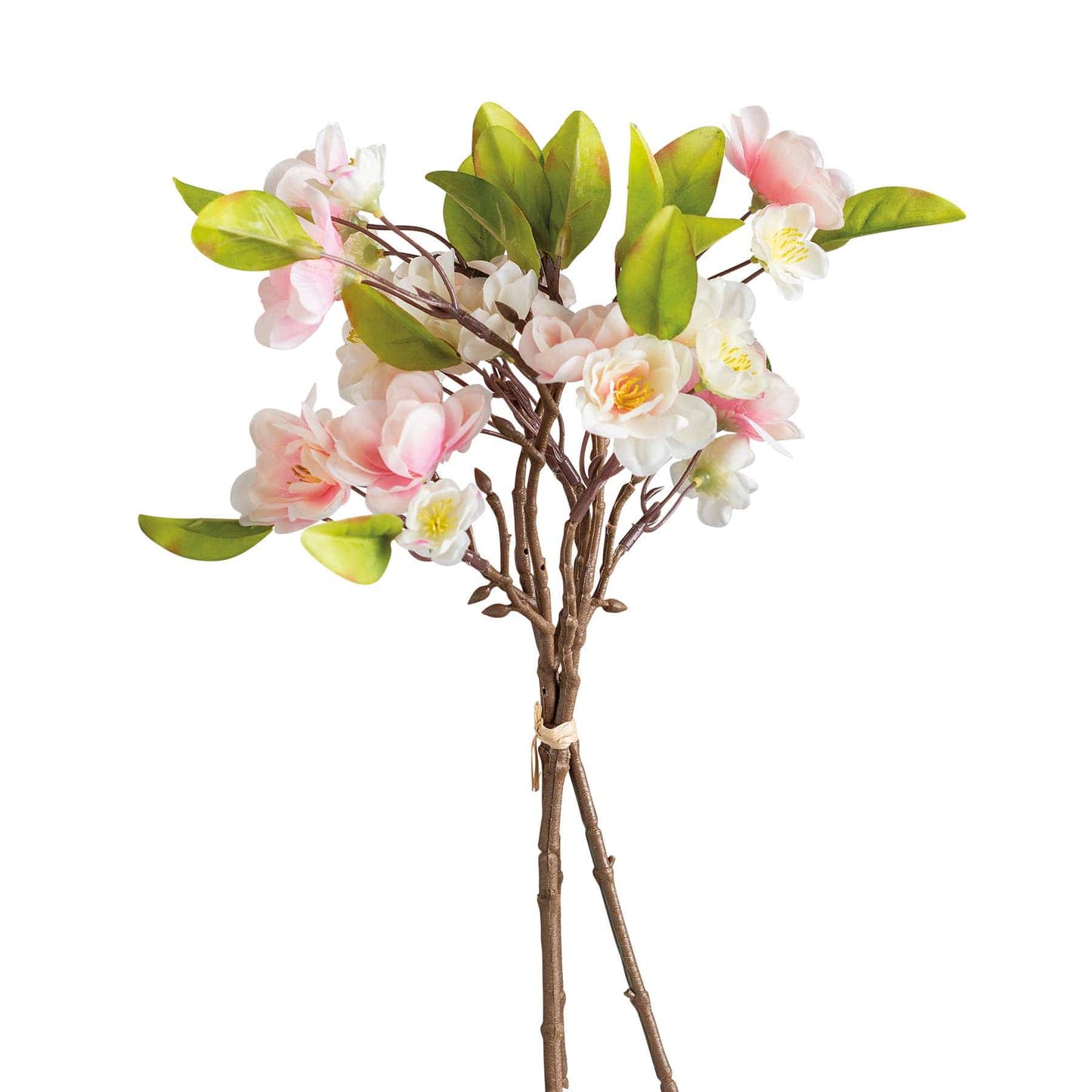 Cherry Blossoms Bouquet