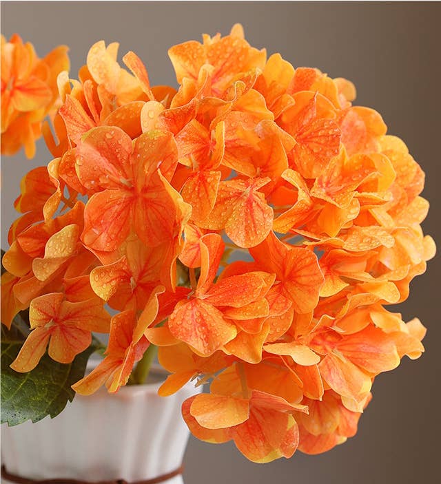 12.Hydrangea-6”bloom