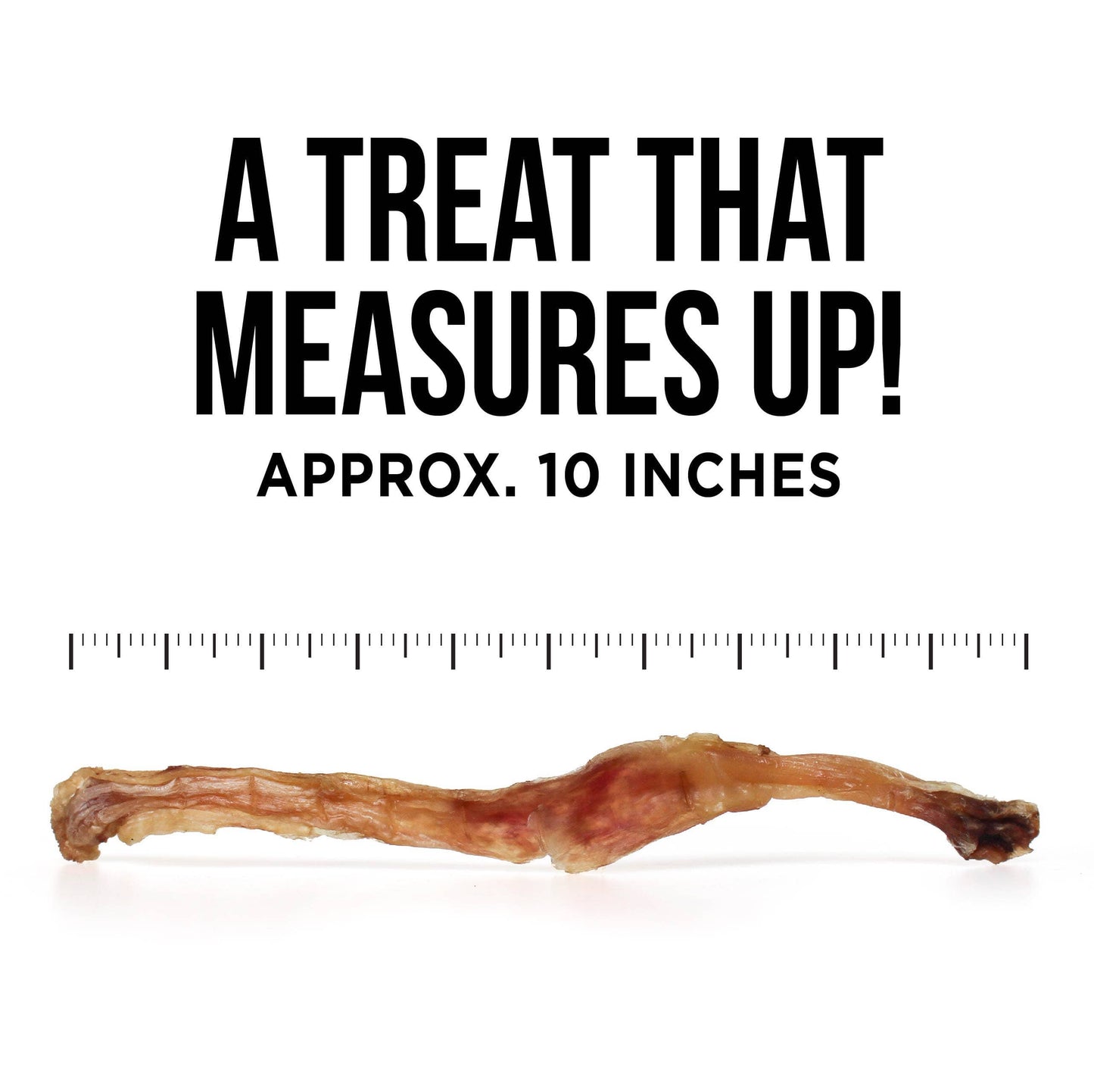 The Only Beef Tendon Chews Dogs Need