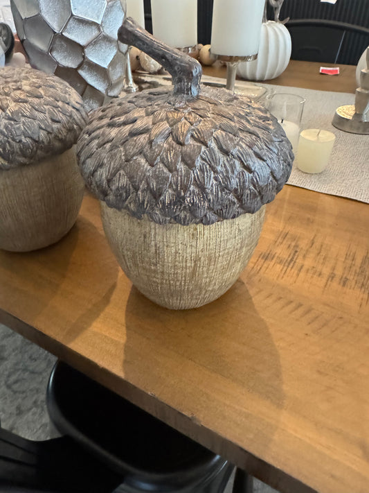 Acorn Decor