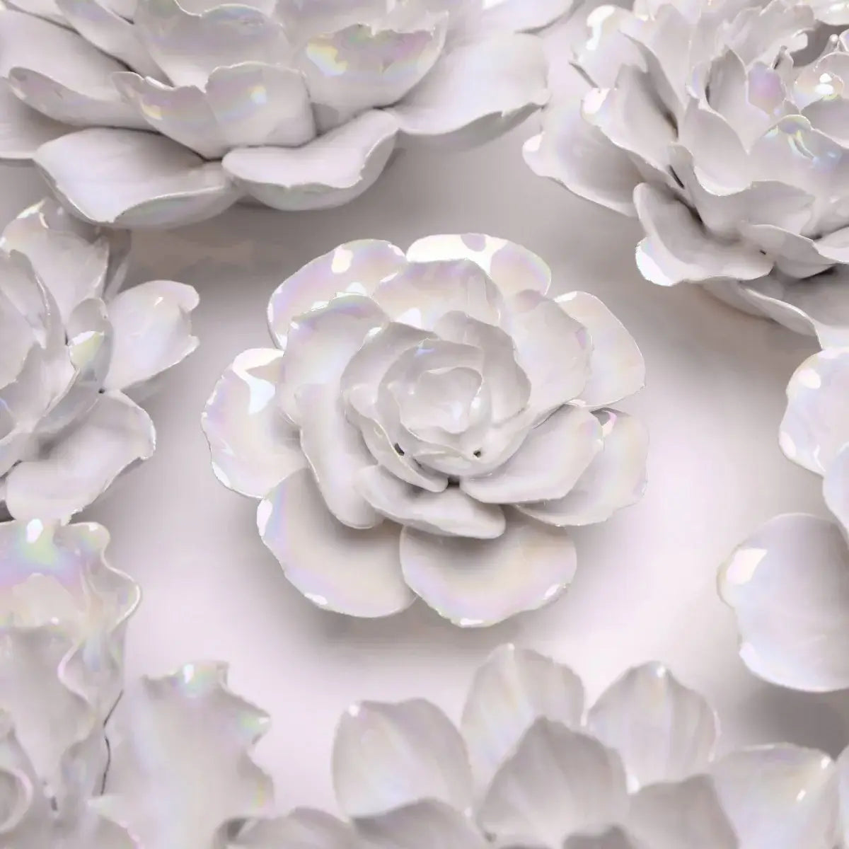 Premium Ceramic Flowers - Handcrafted Box Pearl Ranunculus