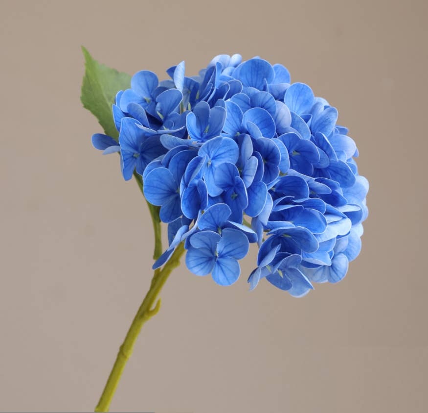 12.Hydrangea-6”bloom