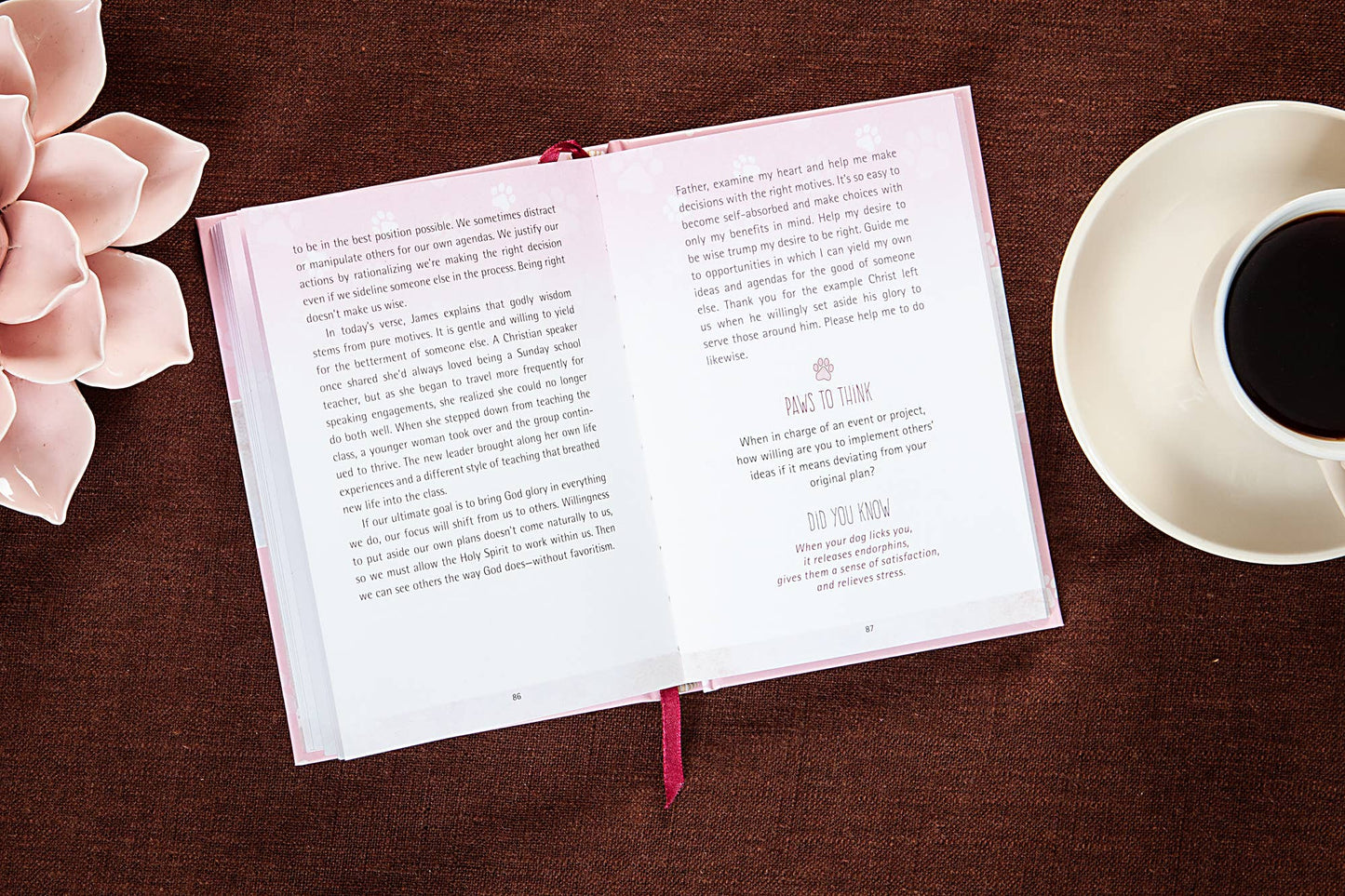 52 Devotions for Dog Moms (Devotional, Mother's Day Gifts)