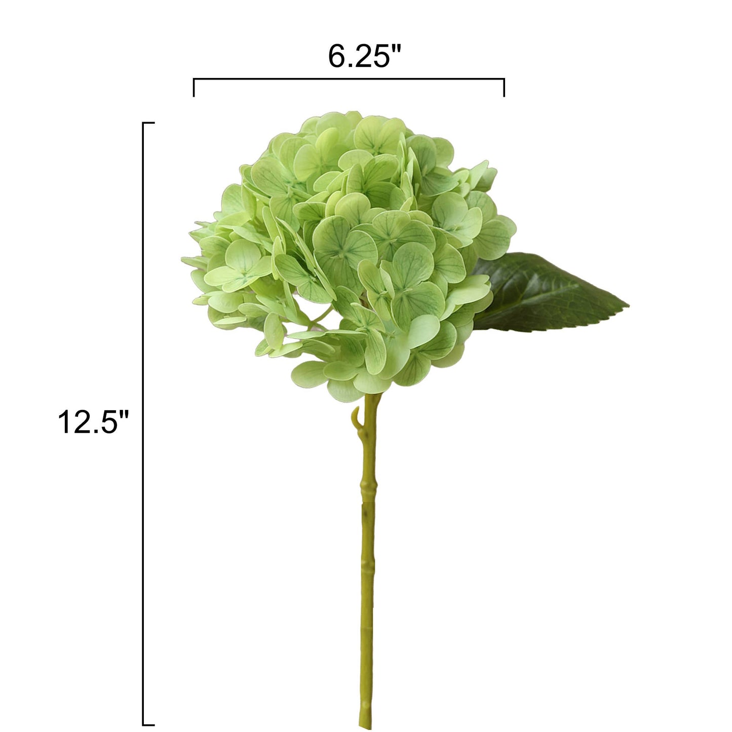 12.Hydrangea-6”bloom