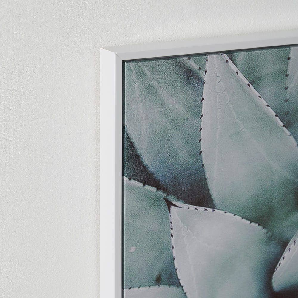 Succulent Canvas Print