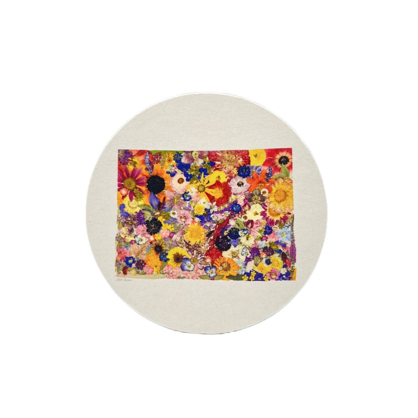 "Where I Bloom" State Coasters- Set of 6