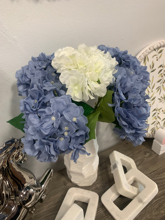 Blue or White Hydrangea