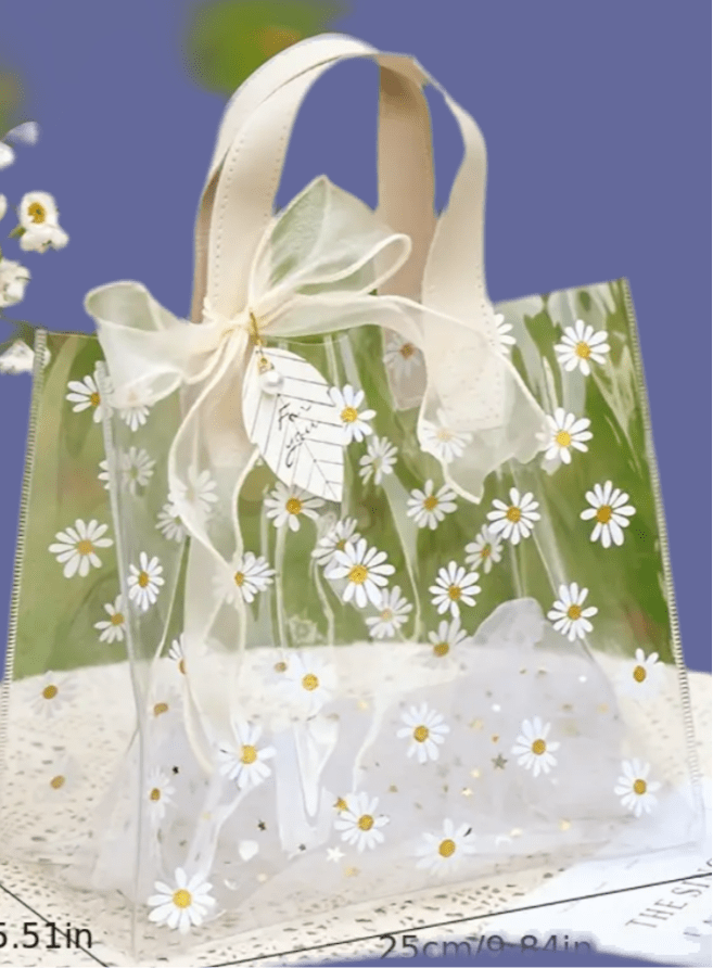 Clear Spring Bag Small