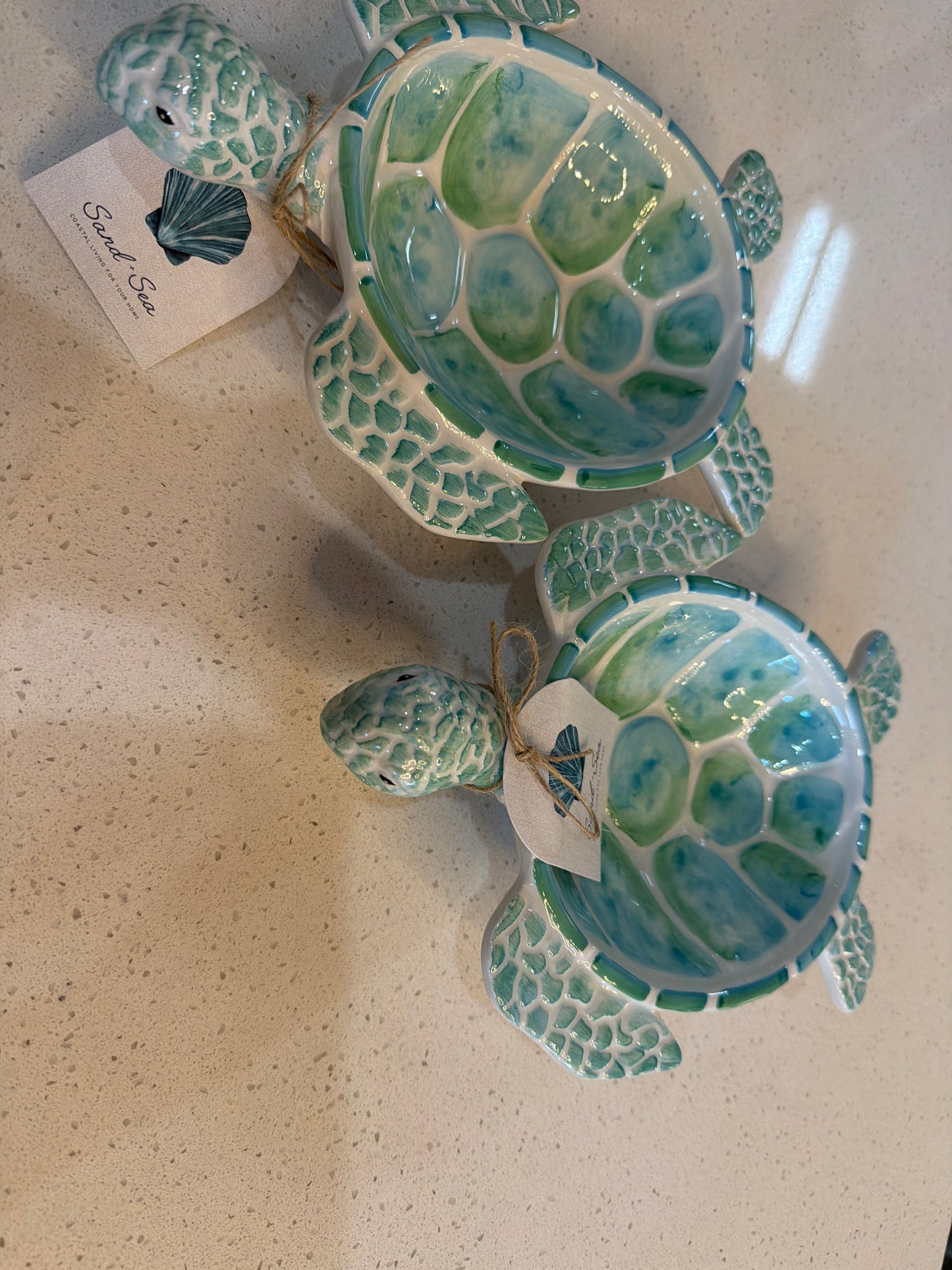 Turtle Bowl