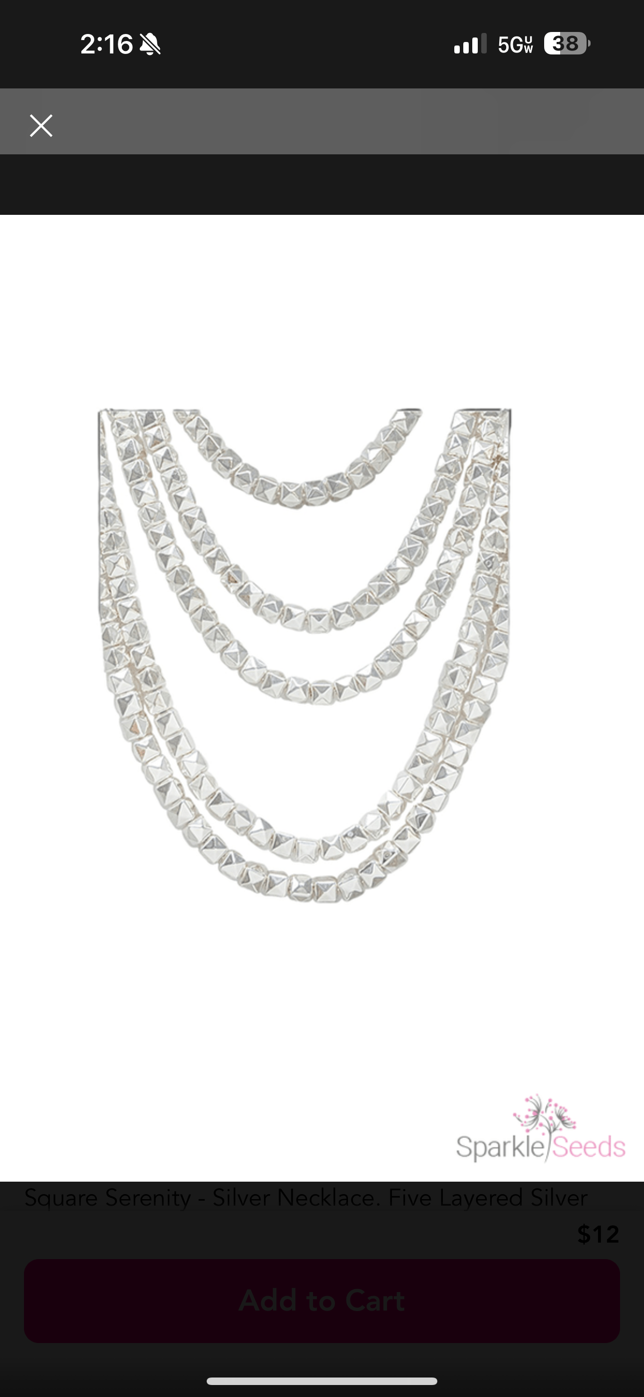 Layered Silver Necklace