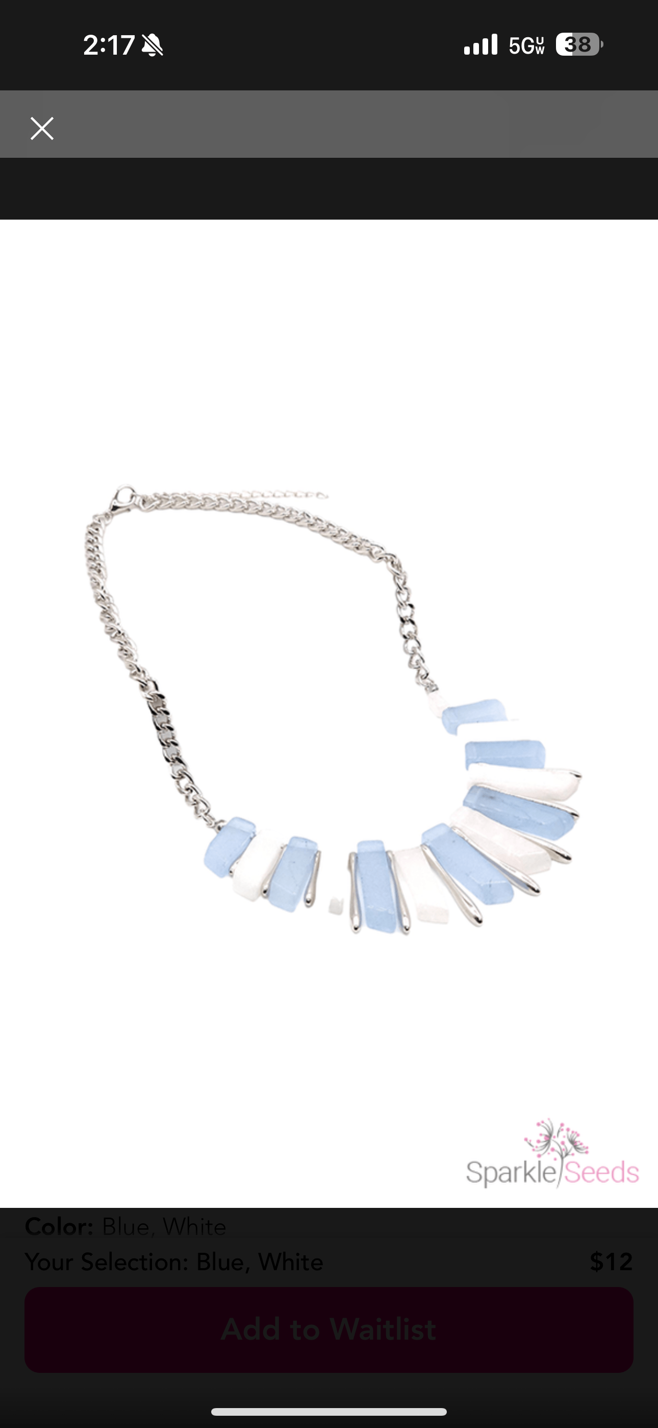 Blue and White SS Necklace