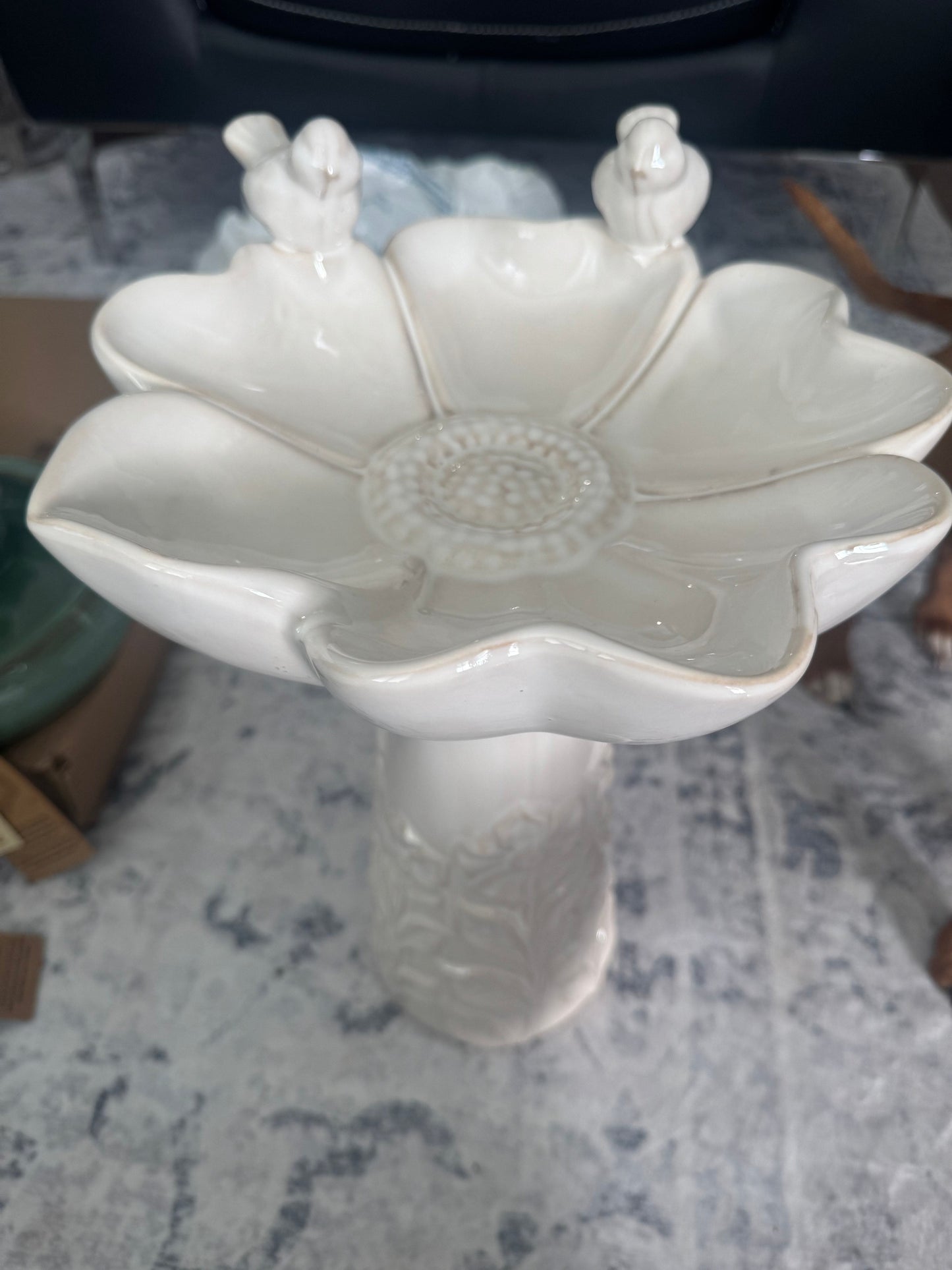 Bird Bath