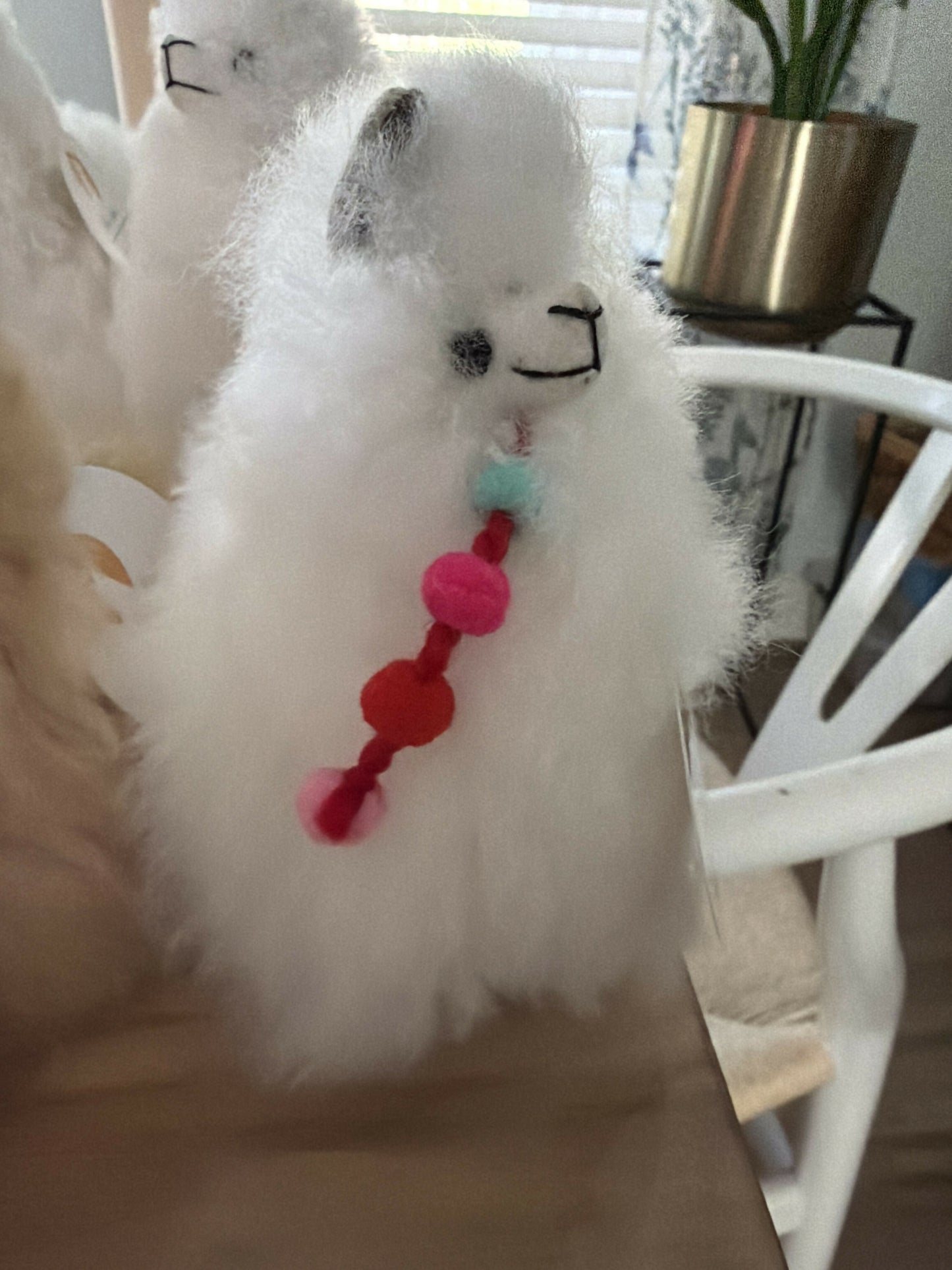 Small Alpaca
