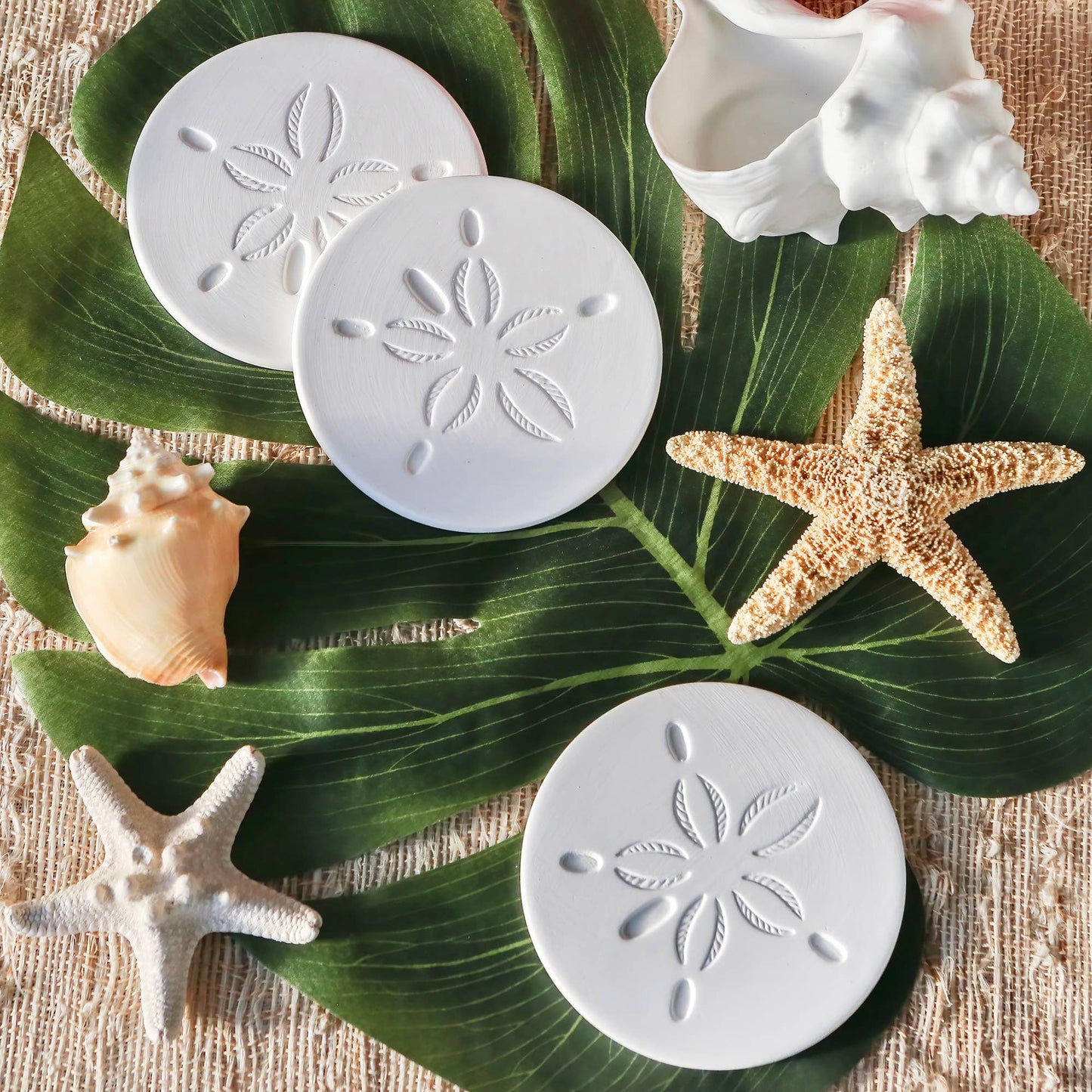 By the Shore Sand Dollar Drink Coaster Set of 4