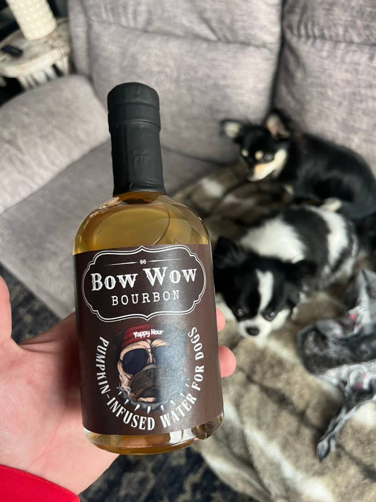 Bow Wow Bourbon | 6ct | Pumpkin