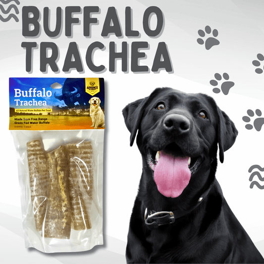 Buffalo Trachea 6" & 12" - Original or Wrapped